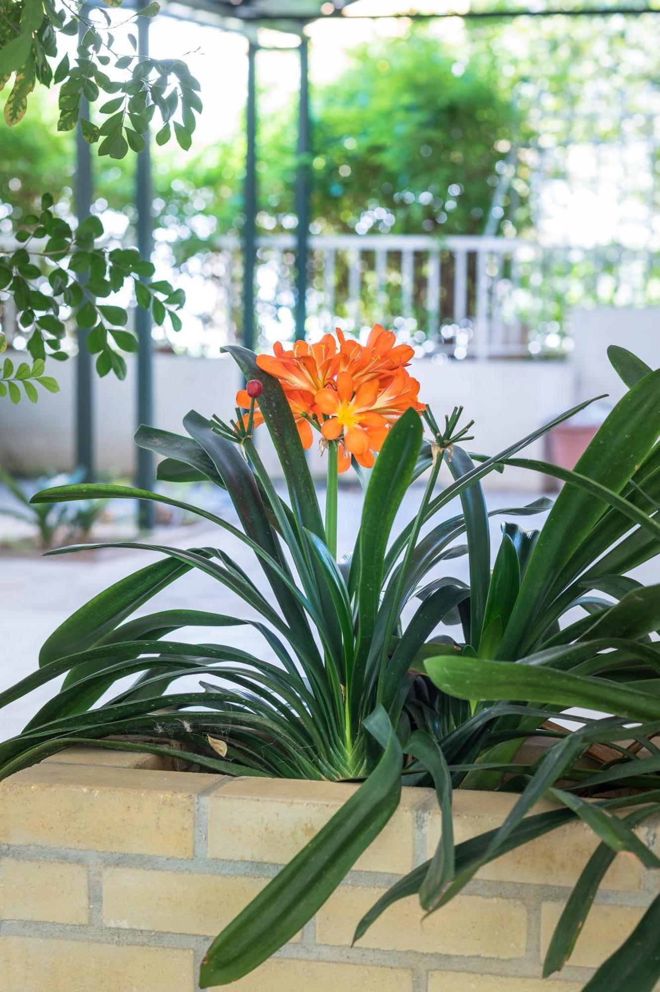 Glyfada'S Cosy Apartments アテネ エクステリア 写真