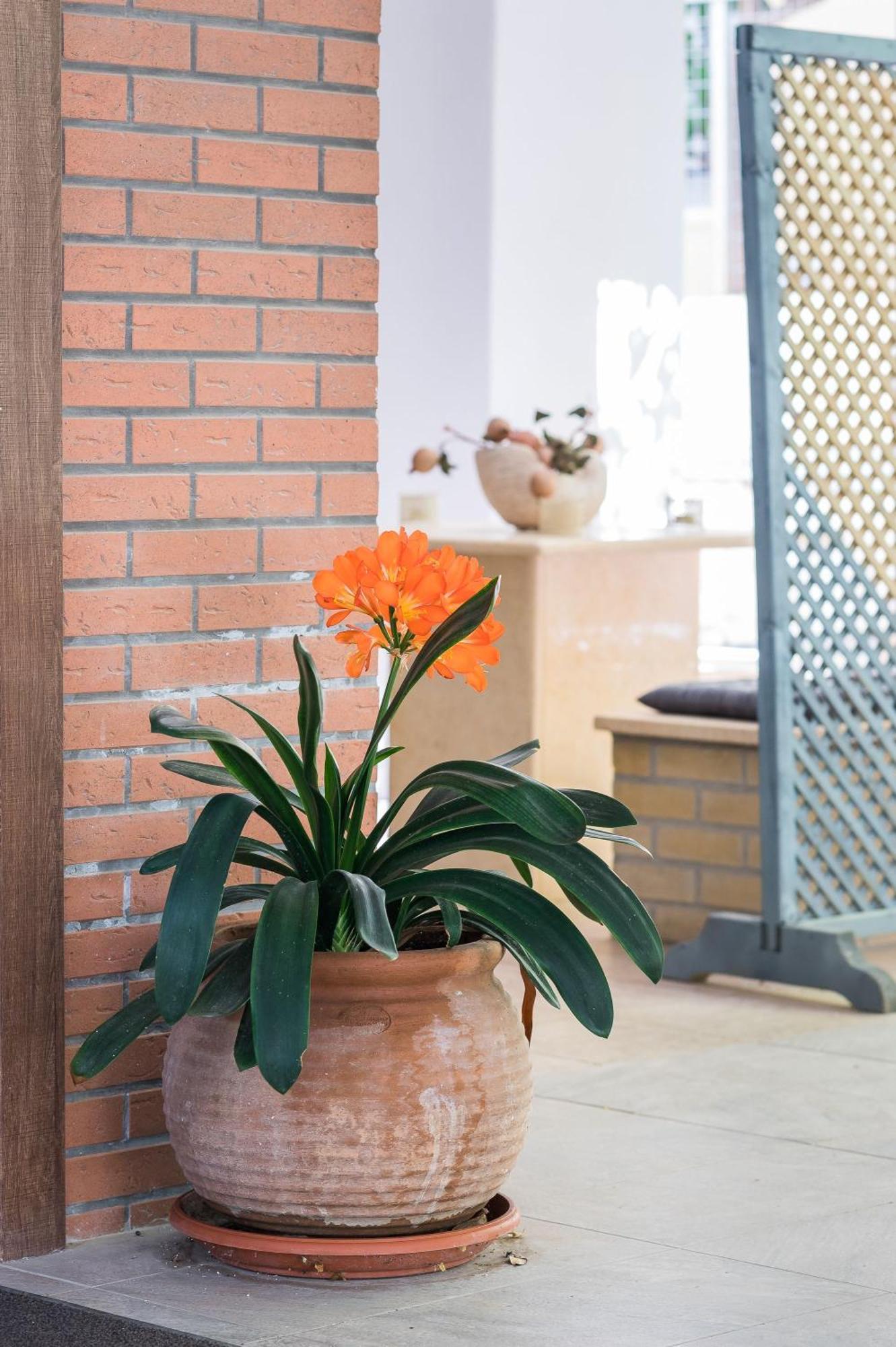 Glyfada'S Cosy Apartments アテネ エクステリア 写真